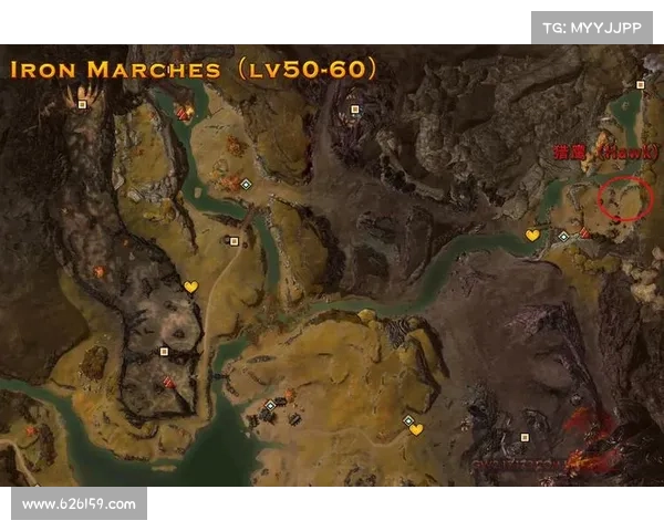 激战2游侠宠物捕捉技巧全解析快速上手与进阶指南