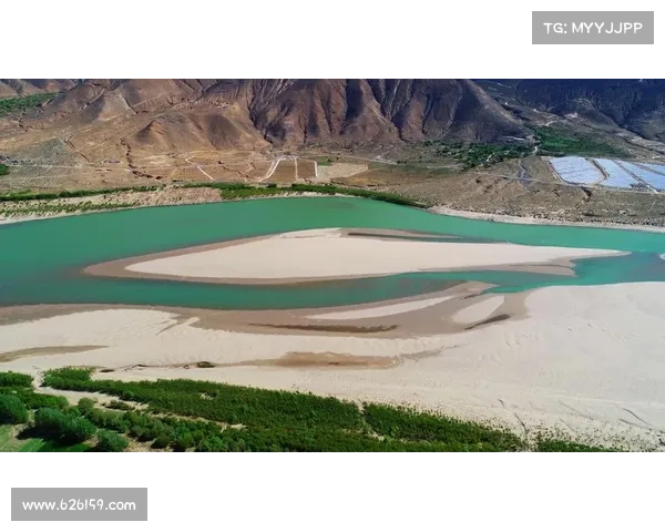 《从阿玛拉王国惩罚背包看责任与自由的深刻哲学意义》