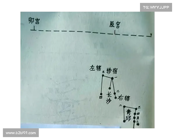 探索朱雀天境的奥秘与入门指南逐步掌握技巧与策略