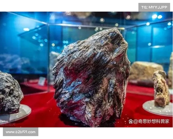 揭开火焰之地入口的神秘面纱探寻其中未知的奥秘与挑战